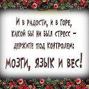 ���� ����, �����-��������� - ��������� 23 ������� 2014 � ������ ������ ��������