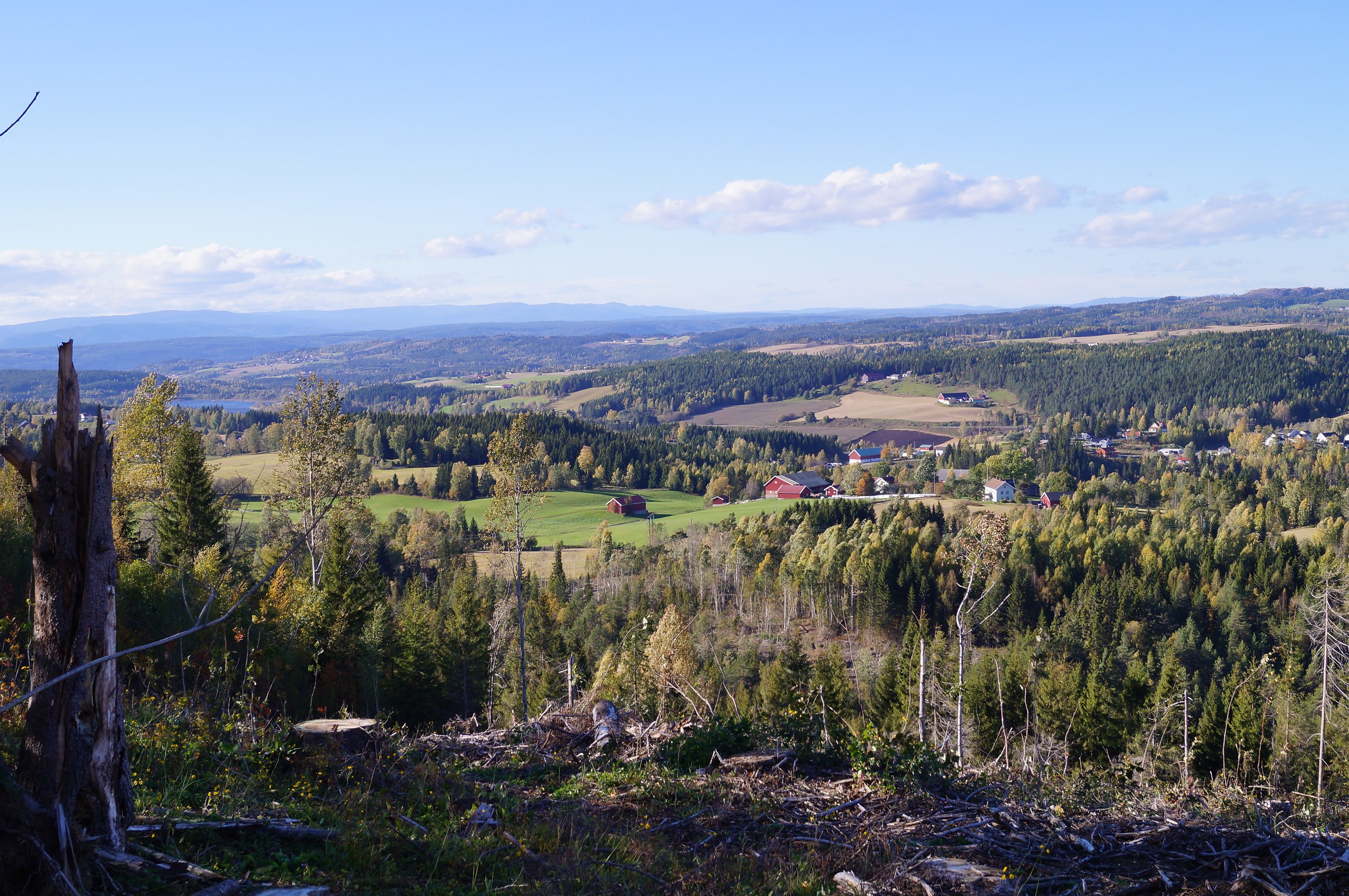 Sredniaja Norvegija :)