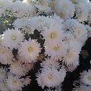 ���� �������, ������, 58 ��� - ��������� 21 ������� 2014 � ������ ��������