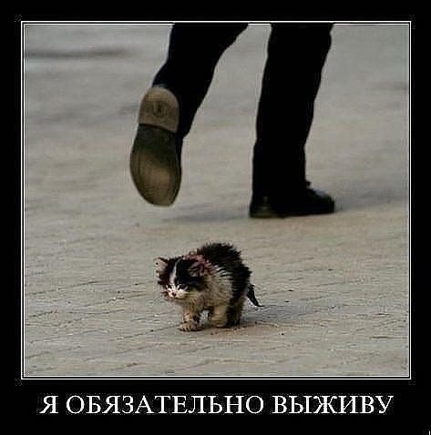 ������ �� ��� :D - 19 ������� 2014 � 16:52