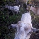 ���� ������, ��������, 69 ��� - ��������� 22 ������� 2014 � ������ ��� �������