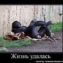 ���� �������, ����� - ��������� 12 ������� 2014 � ������ ���� ����������