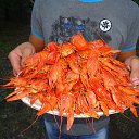 ���� ����, �������, 38 ��� - ��������� 25 ������� 2014 � ������ ���� ����������