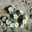 ���� ��������, ������-���, 56 ��� - ��������� 8 ������� 2014 � ������ ��������-����������