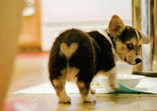   - 30  2014  23:29 - 2