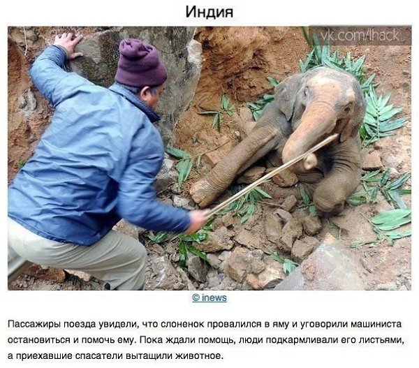 10 фотографий, которые доказывают, что мир - не такое плохое место. В этом мире войн и политических ... - 2