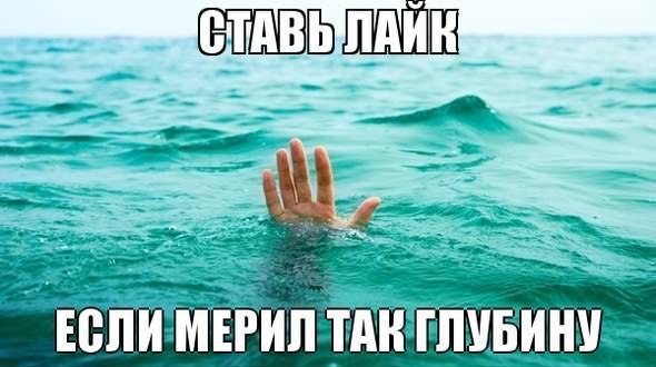          -     " "  -   : http://vk.com/creationoflife - 29  2014  13:53