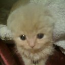 ����!!! �� ������� �����