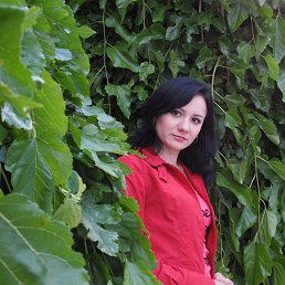 ������, ������, 40 ���