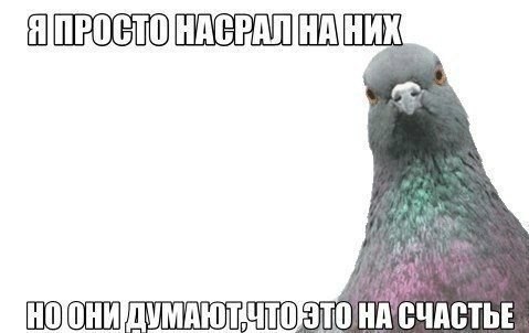 Art & Fun - 10  2014  11:56