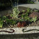 ������������ ������� �� ������� ������������� �������