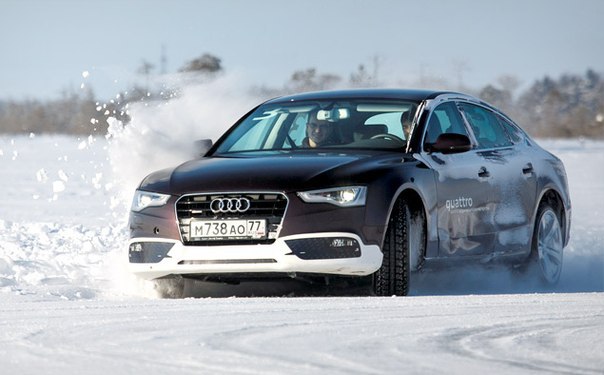 ....Quattro ! - 7