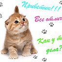 ���� � � � �, ������ - ��������� 2 ������� 2014 � ������ ������ ��������