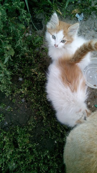  #_.       .   ... - 4