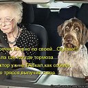 ���� ���� ������, ������, 59 ��� - ��������� 31 ������� 2014 � ������ ������ ��������