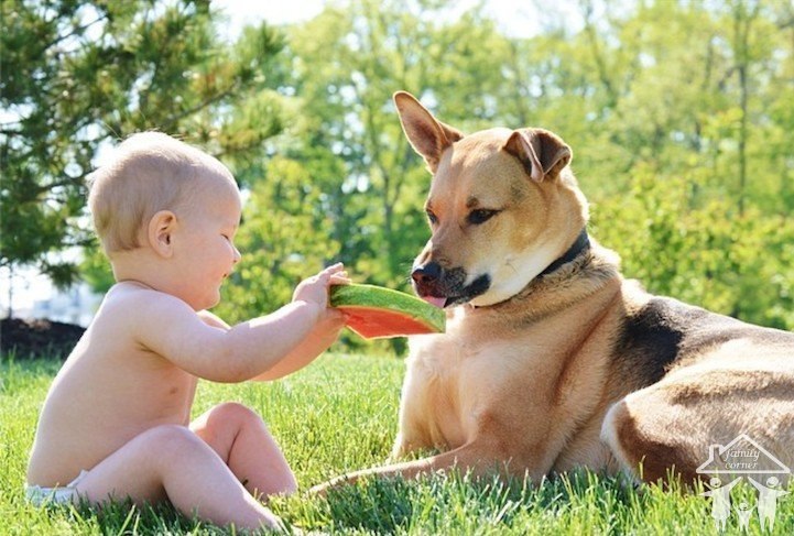 ����� � ��: �������������� ������� ������! - 6