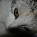 ���� ������, ������� ������, 64 ���� - ��������� 9 ������� 2014 � ������ ���� ����������