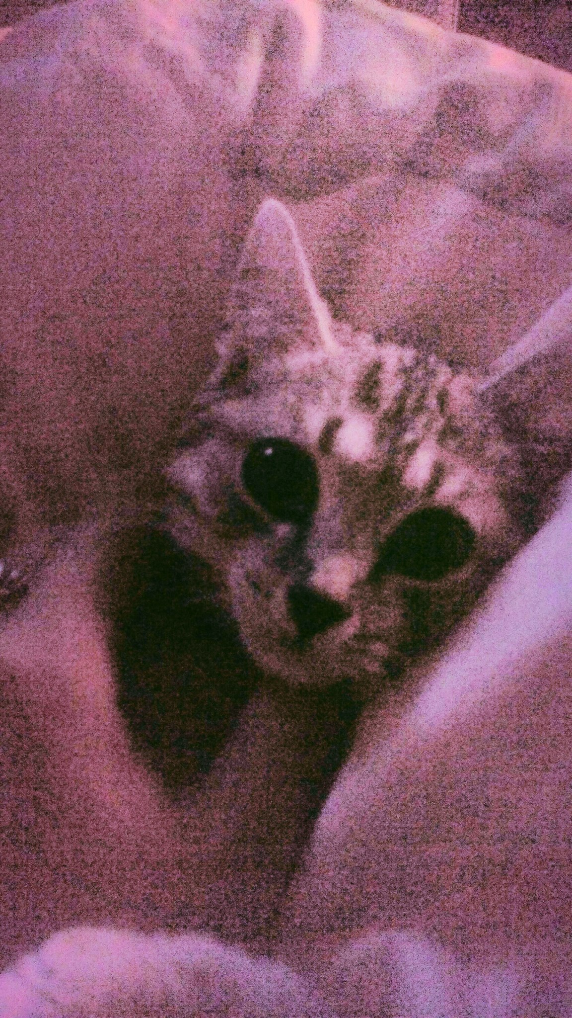 ���������)* - 2