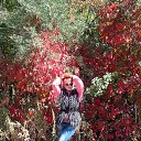  , , 46  -  22  2014    2014