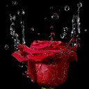 f �� ������� ���� ������� ����!!!!�