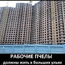 ���� �������, ������������, 39 ��� - ��������� 18 ������� 2014 � ������ ����������� ����� ������������