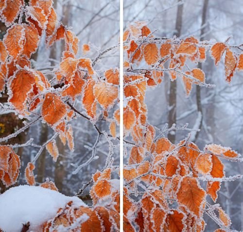 ��� ��������� ������ � ������� ������ ��������, ���� ������ �������� � ���� ����������� �����... � ...