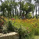  Flura, , 64  -  8  2014    