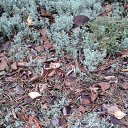 ���� ������, �����-���������, 70 ��� - ��������� 28 ������� 2014 � ������ ������ 2014�