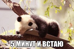  - 1  2014  16:03