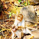 ���� ���������, �������� - ��������� 8 ������ 2014 � ������ ���� ����������