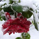 ���� �����, ������ - ��������� 15 ������� 2014 � ������ ���� ����������