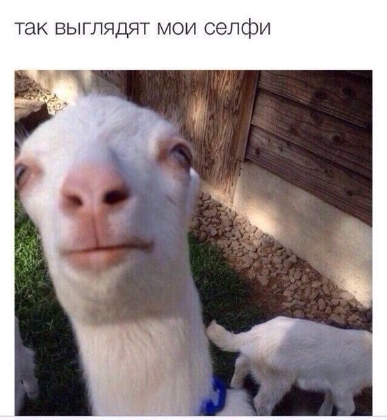    :D - 7  2014  14:31