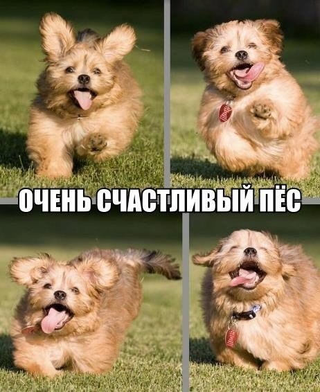Art & Fun - 19  2014  20:38