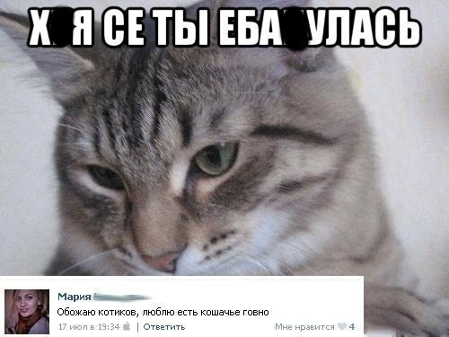   - 11  2014  11:39