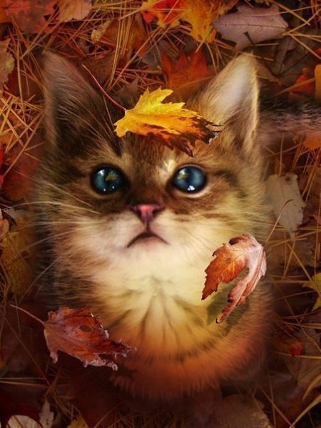   : http://fotostrana.ru/public/233467 ;-)      ... - 3