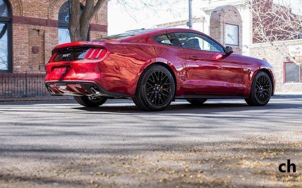Mustang GT Fastback Coupe.5.0L V8: 420 .. : 529 :   ... - 5