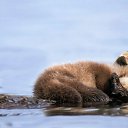 ���� ��������, ����� - ��������� 26 �������� 2014 � ������ ������ ��������