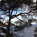 ���� _�����������_, ������ - ��������� 7 ������� 2014 � ������ ������ ��������