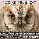 ���� �������, ������������ - ��������� 6 �������� 2014 � ������ ������ ��������
