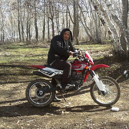 �����, ���������, 40 ���