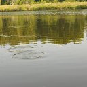 ���� ������, ������, 58 ��� - ��������� 17 ������� 2014 � ������ ��� ����ɻ