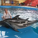 ���� �������, ���������, 51 ��� - ��������� 17 �������� 2014 � ������ ���� ����������