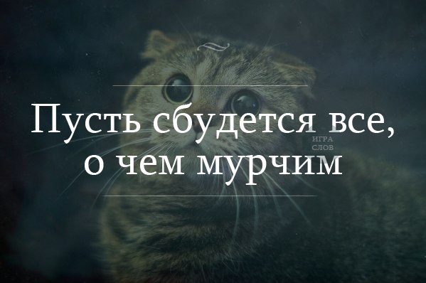       - 28  2014  13:03