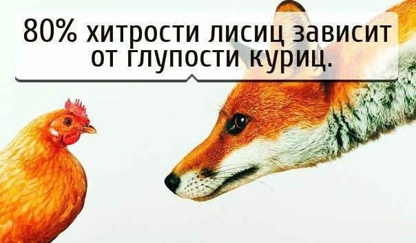 Art & Fun - 16  2014  06:45