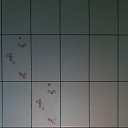 ���� ������� 89835284341, ����, 48 ��� - ��������� 29 �������� 2014 � ������ ���� ����������