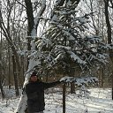 ���� ������, ����� - ��������� 11 ������� 2014