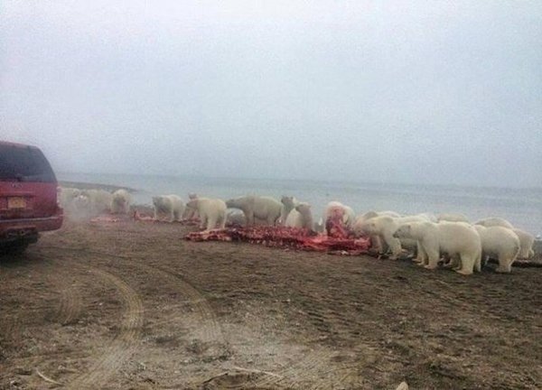 ��� ���� ���� �� ������. �� ������� ��� ���� ����. ��� ���.