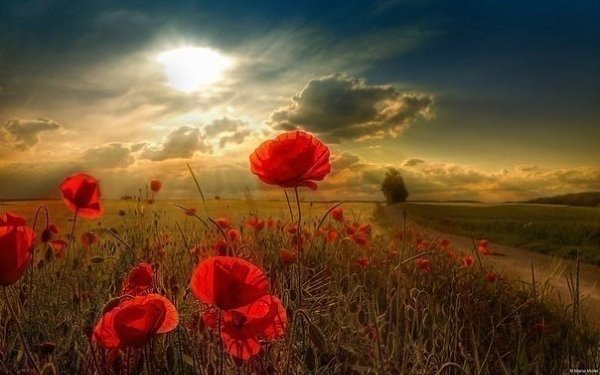 Я говорю спасибо небесам....За то, что я дышу, и следую своим мечтам...За этот мир, в котором я ...