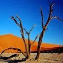  , , 56  -  9  2014   ջ