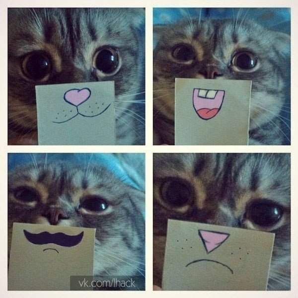 :3